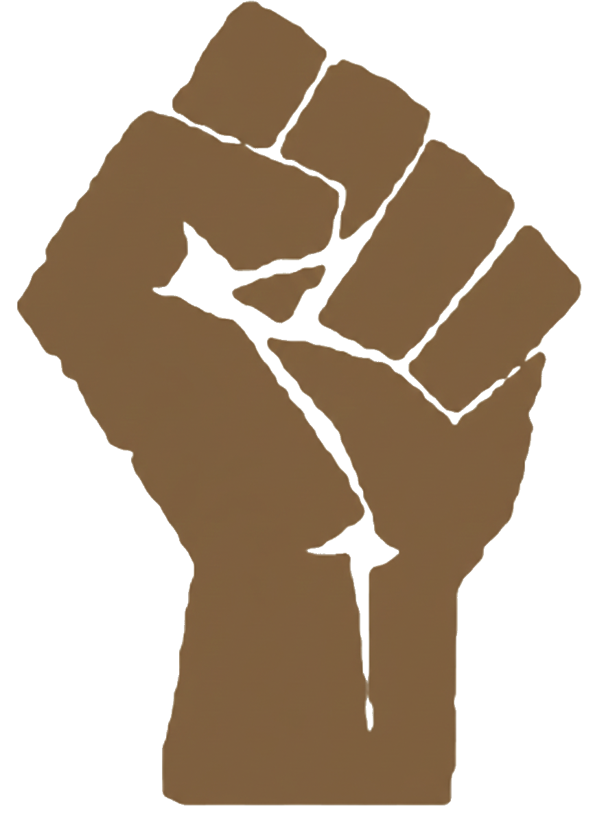 Brown protest fist